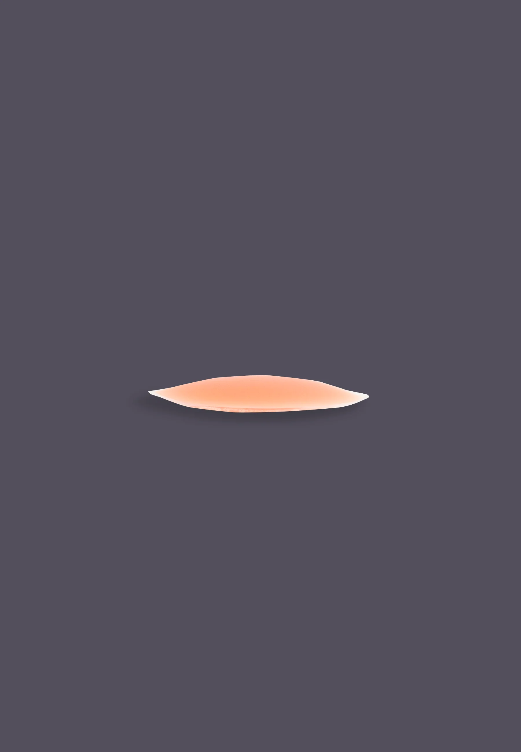Silicone Breastpads - Image 3